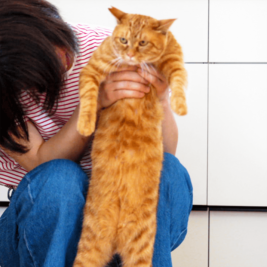 私とねこさんのツーショット